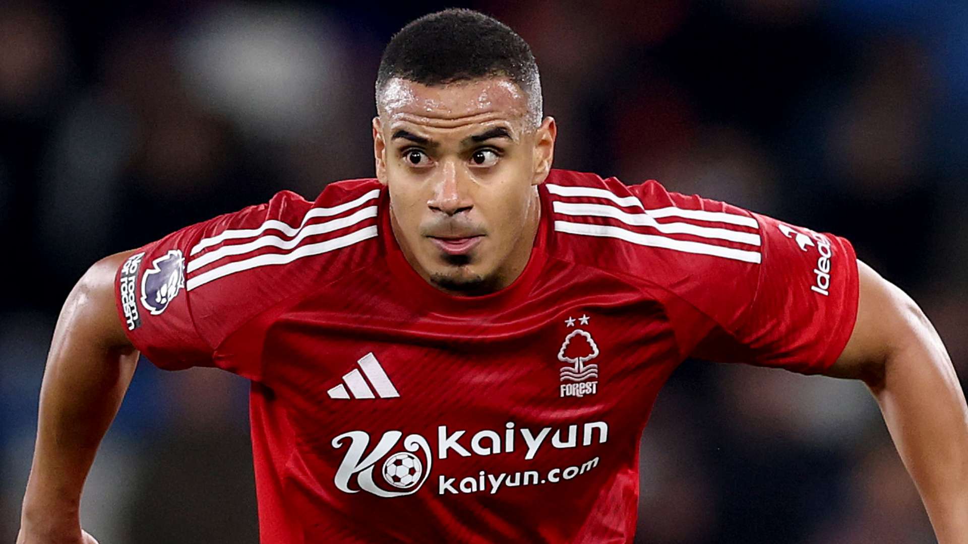 即使面对林 即使面对林